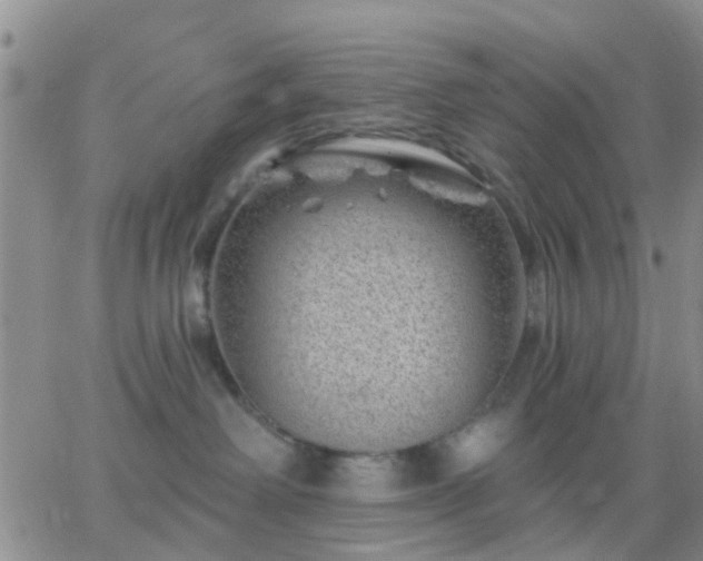 X0000065260238200602242122