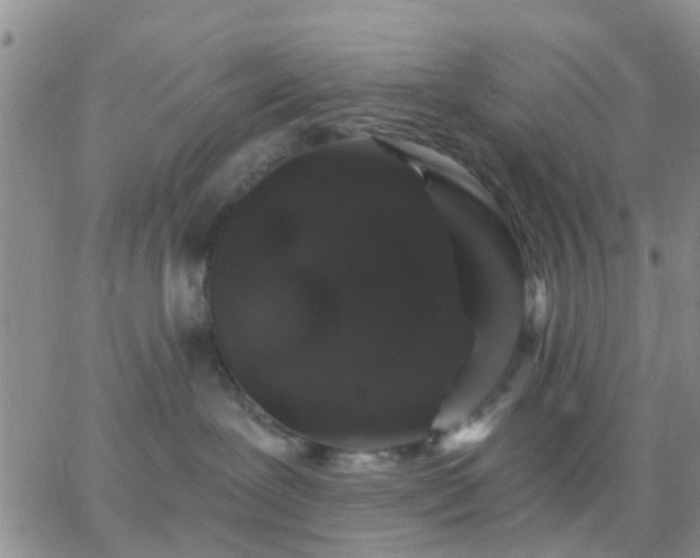 X0000065260239200602242122