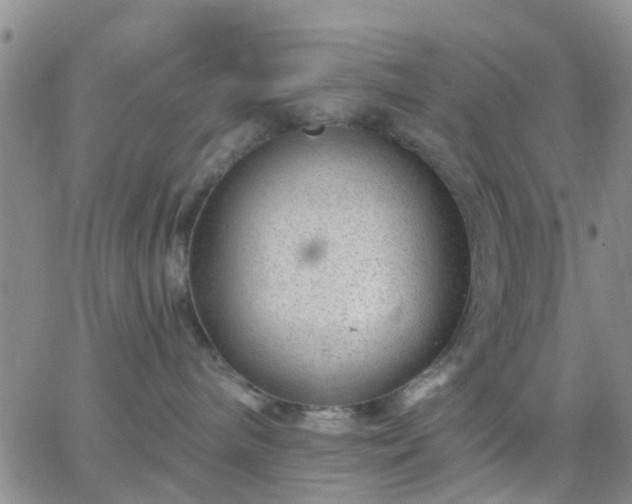 X0000065260240200602242122