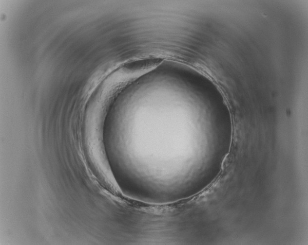 X0000065260241200602242122