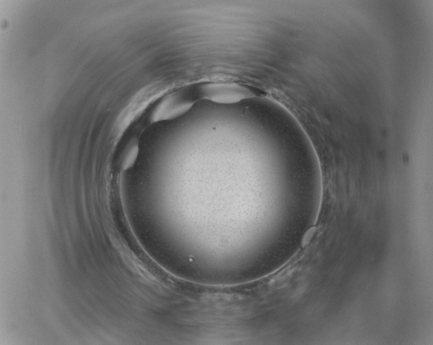 X0000065260242200602242122