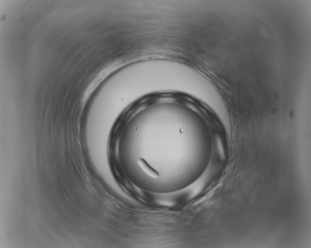 X0000065260244200602242122