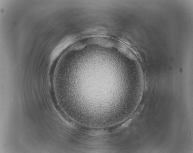 X0000065260245200602242122