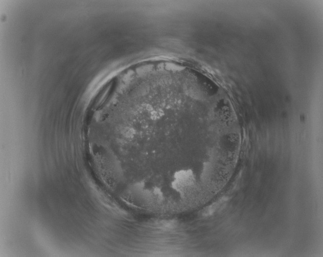 X0000065260247200602242122