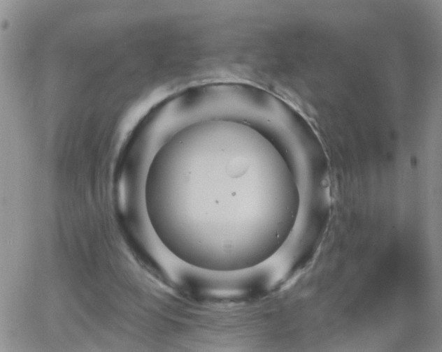 X0000065260248200602242122