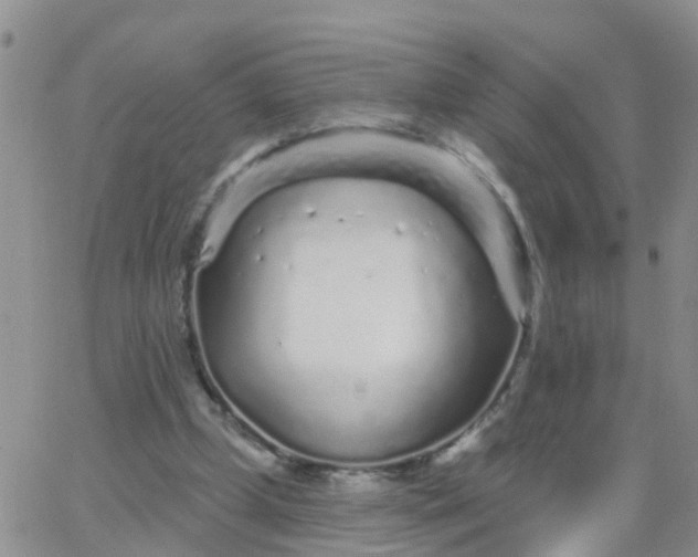 X0000065260249200602242122