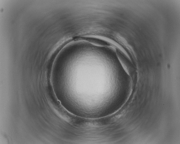 X0000065260250200602242122