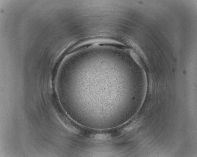 X0000065260251200602242122