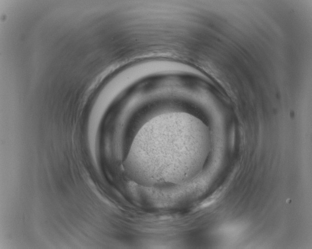 X0000065260252200602242122