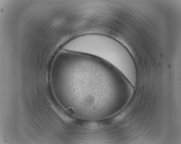 X0000065260253200602242122