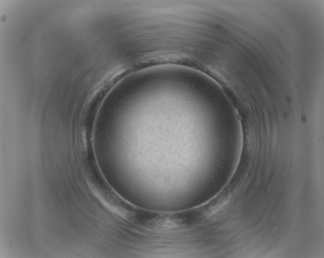 X0000065260254200602242122