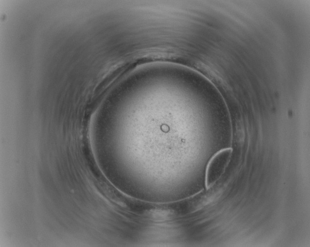 X0000065260255200602242122