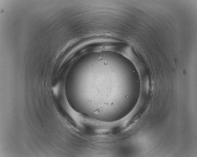 X0000065260256200602242122