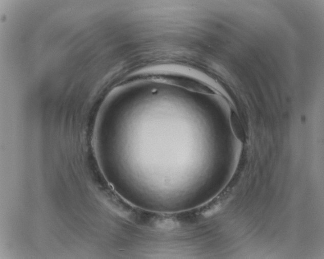 X0000065260258200602242122