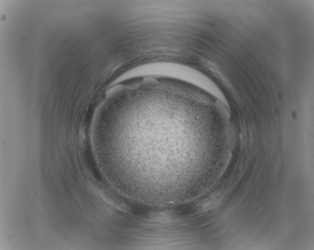 X0000065260259200602242122