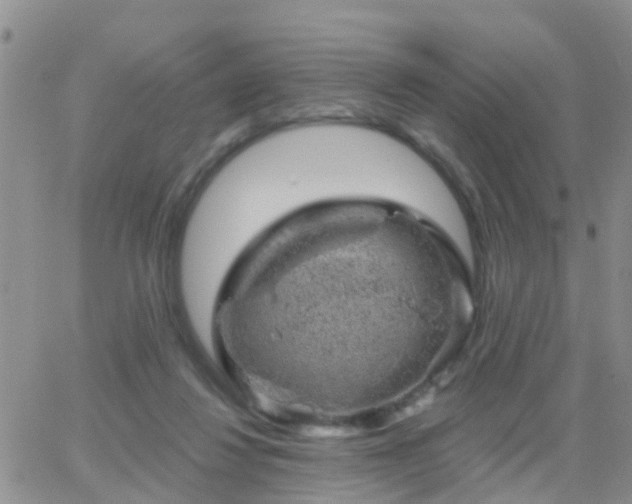 X0000065260260200602242122