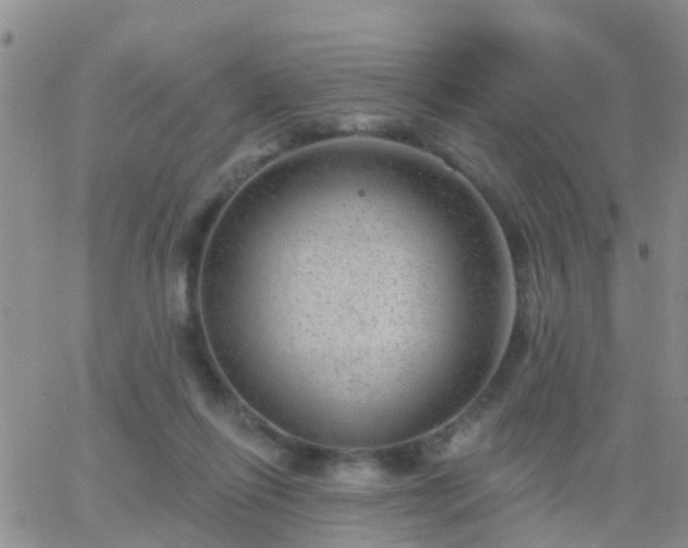 X0000065260262200602242122