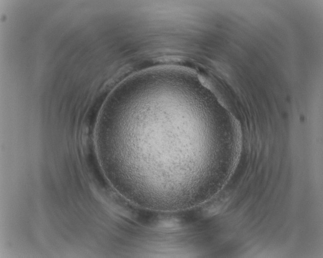 X0000065260263200602242122