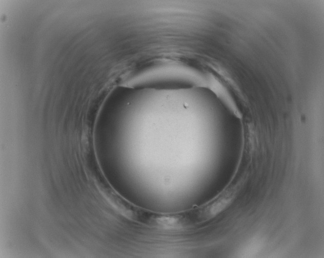 X0000065260265200602242122