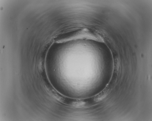 X0000065260266200602242122