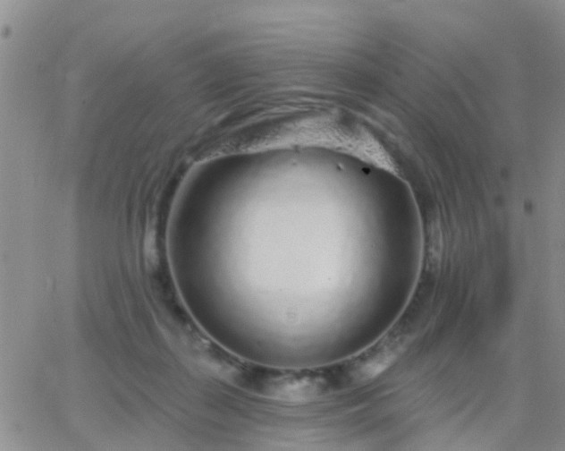 X0000065260267200602242122