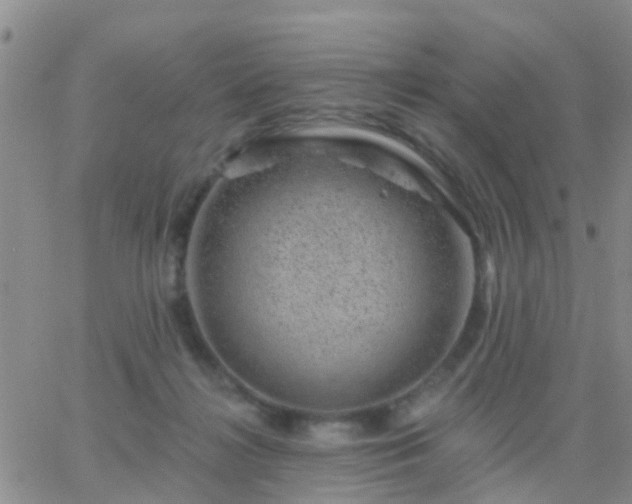 X0000065260268200602242122