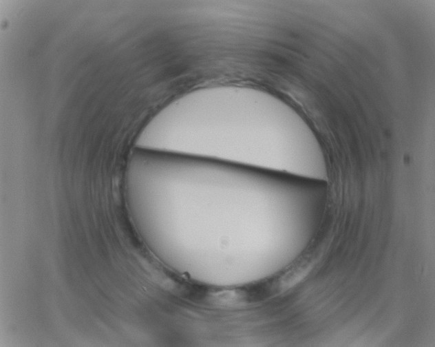 X0000065260269200602242122