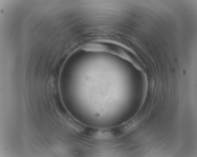 X0000065260270200602242122