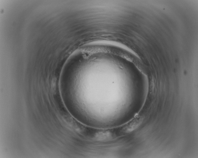 X0000065260271200602242122