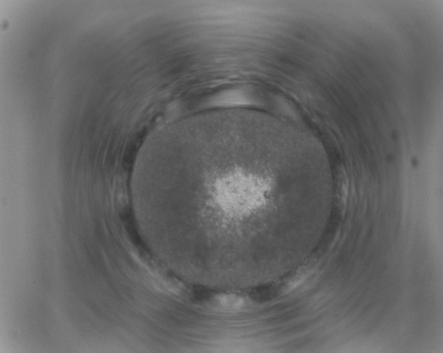 X0000065260272200602242122