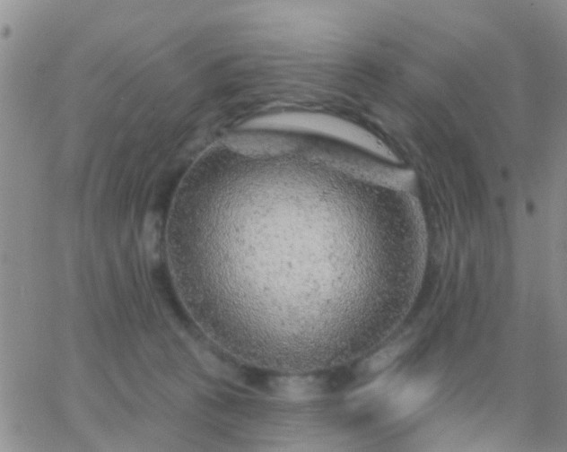 X0000065260273200602242122