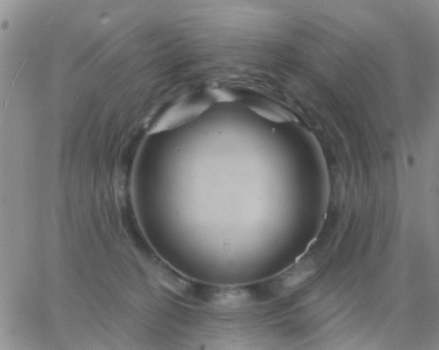 X0000065260274200602242122