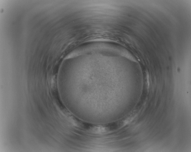 X0000065260276200602242122