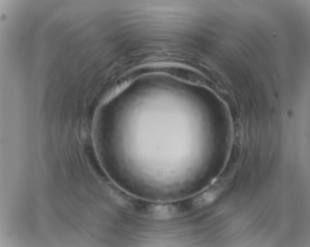 X0000065260277200602242122