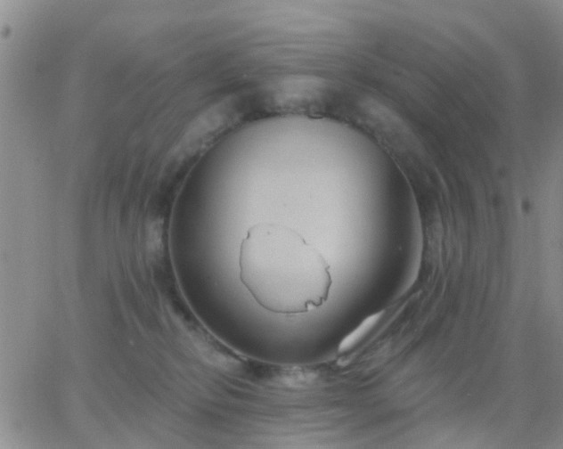 X0000065260278200602242122