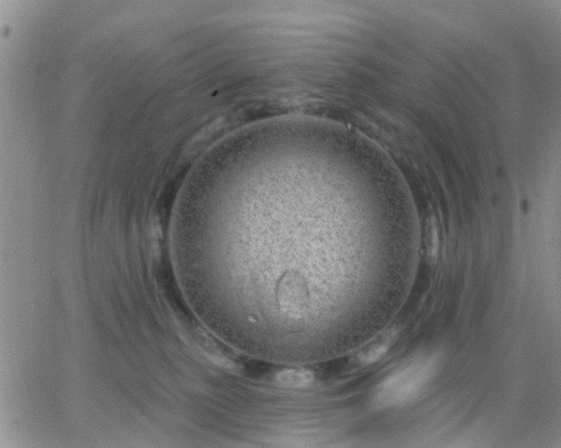 X0000065260279200602242122