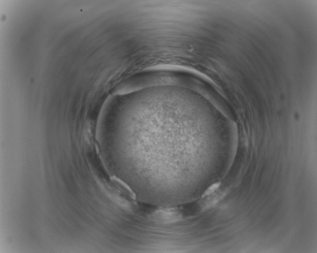 X0000065260280200602242122