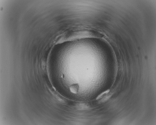 X0000065260281200602242122