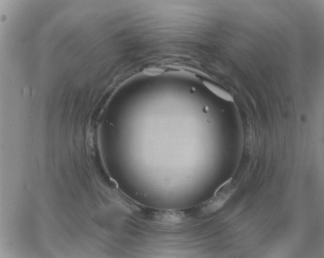 X0000065260282200602242122