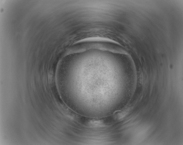 X0000065260283200602242122