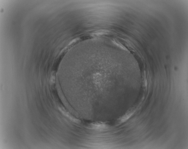 X0000065260284200602242122