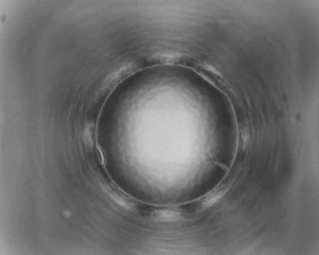 X0000065260286200602242122