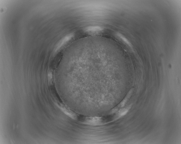 X0000065260288200602242122