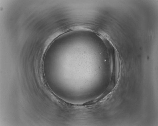 X0000065260289200602242122