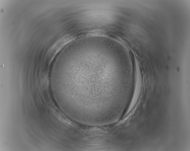 X0000065260290200602242122