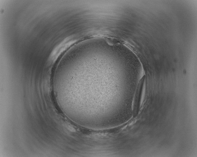 X0000065260291200602242122