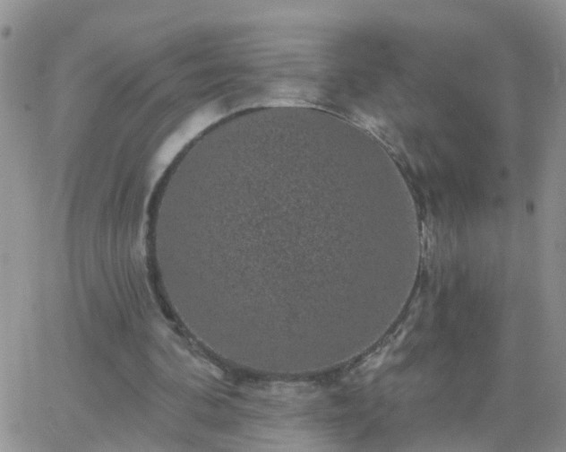 X0000065260292200602242122