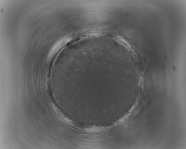 X0000065260293200602242122