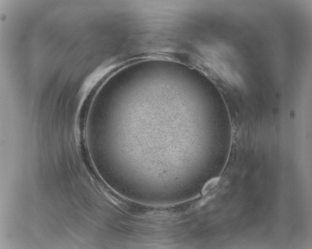 X0000065260294200602242122