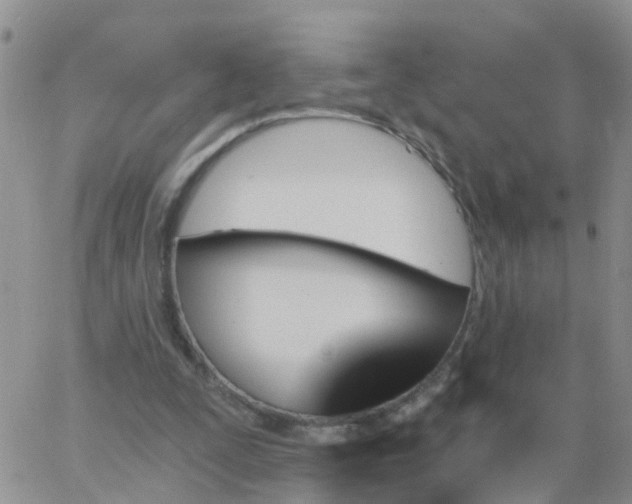 X0000065260295200602242122